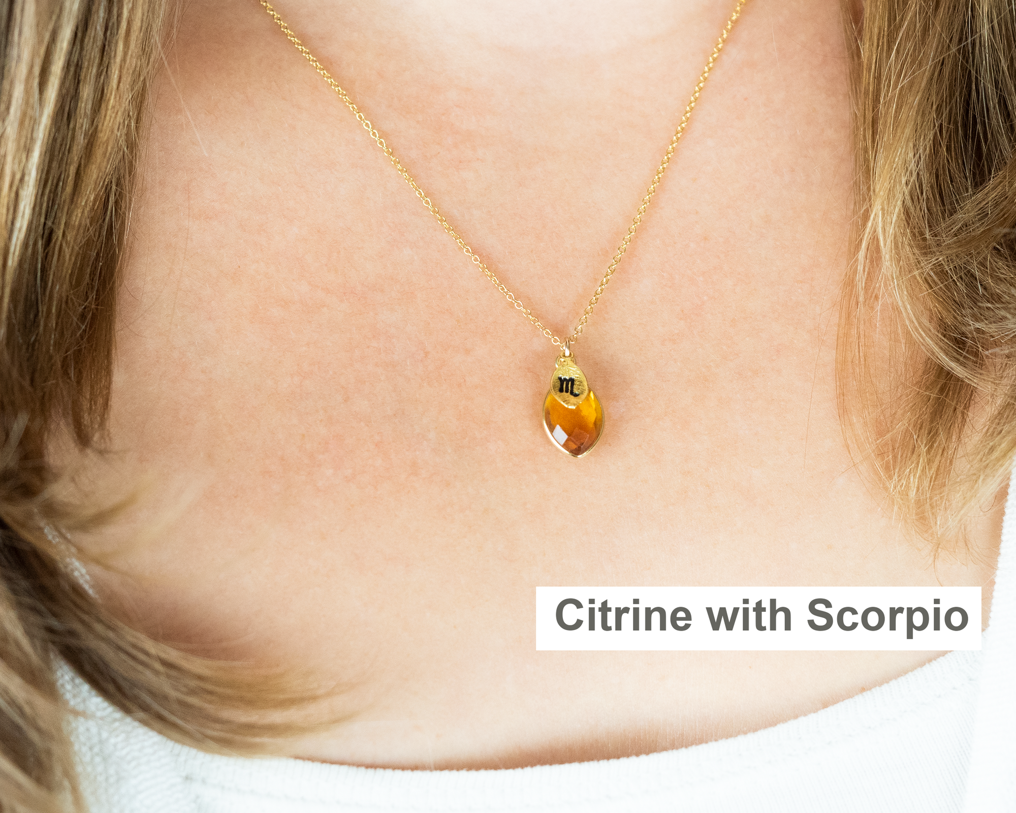 Zodiac Birthstone Necklace