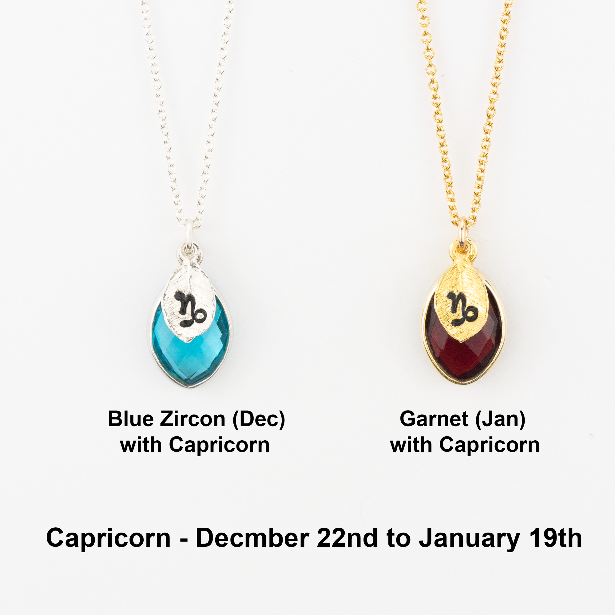 Zodiac Birthstone Necklace