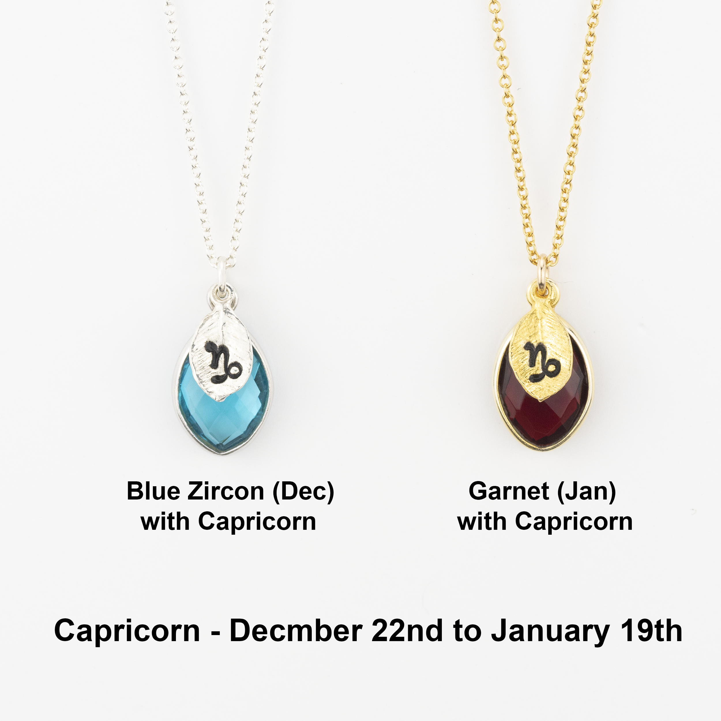 Zodiac Birthstone Necklace