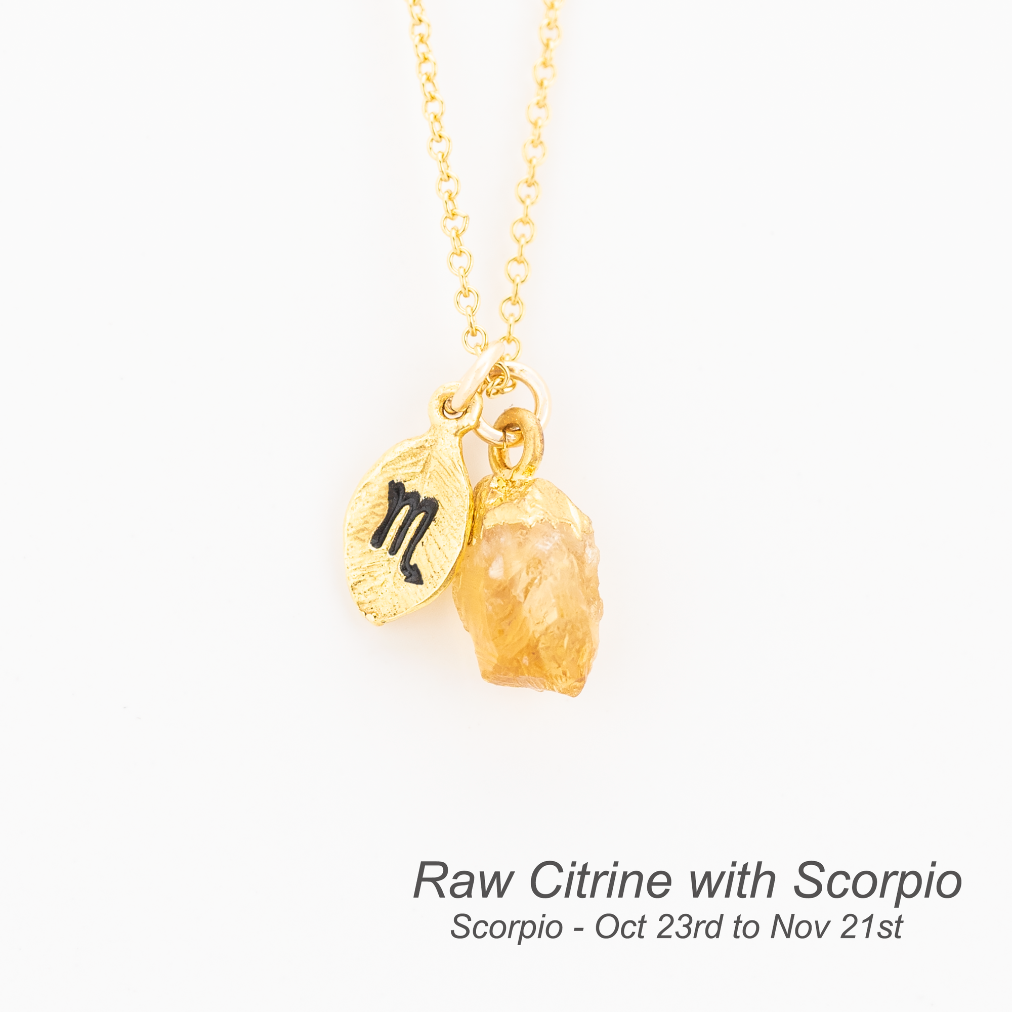 Raw Birthstone Zodiac Necklace